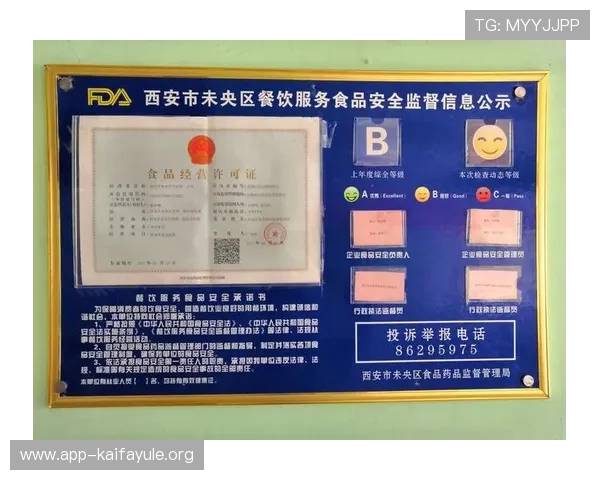 凯发k8国际首页网页版安全保障措施，保障玩家资金与个人信息安全的全面解决方案